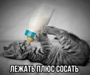 https://upforme.ru/uploads/001c/66/19/68/t891461.jpg