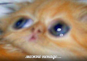 https://upforme.ru/uploads/001c/66/19/83/792537.jpg