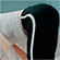 https://upforme.ru/uploads/001c/66/96/7/434083.gif