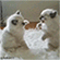 https://upforme.ru/uploads/001c/66/96/7/573705.gif
