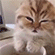 https://upforme.ru/uploads/001c/66/96/7/t771391.gif