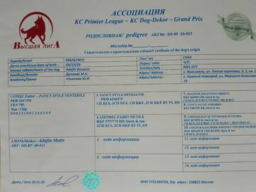 https://upforme.ru/uploads/001c/67/8f/2/t468882.jpg