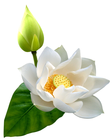 https://upforme.ru/uploads/001c/68/1c/2/t825218.png
