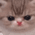 https://upforme.ru/uploads/001c/69/9f/13/948820.png