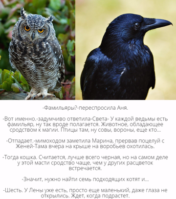 https://upforme.ru/uploads/001c/69/ef/5/t367309.png