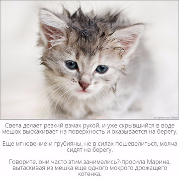 https://upforme.ru/uploads/001c/69/ef/5/t478656.png