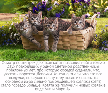 https://upforme.ru/uploads/001c/69/ef/5/t496696.png