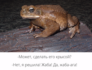https://upforme.ru/uploads/001c/69/ef/5/t786124.png