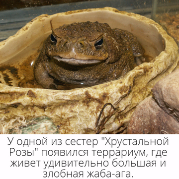 https://upforme.ru/uploads/001c/69/ef/5/t973595.png