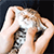 https://upforme.ru/uploads/001c/6a/04/3/156014.gif