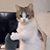 https://upforme.ru/uploads/001c/6a/04/3/339866.gif