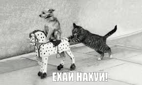https://upforme.ru/uploads/001c/6a/ec/103/714423.png