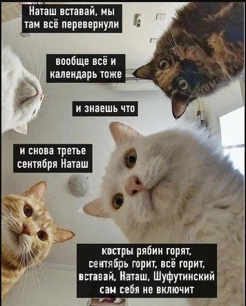 https://upforme.ru/uploads/001c/6b/0d/11/403618.jpg