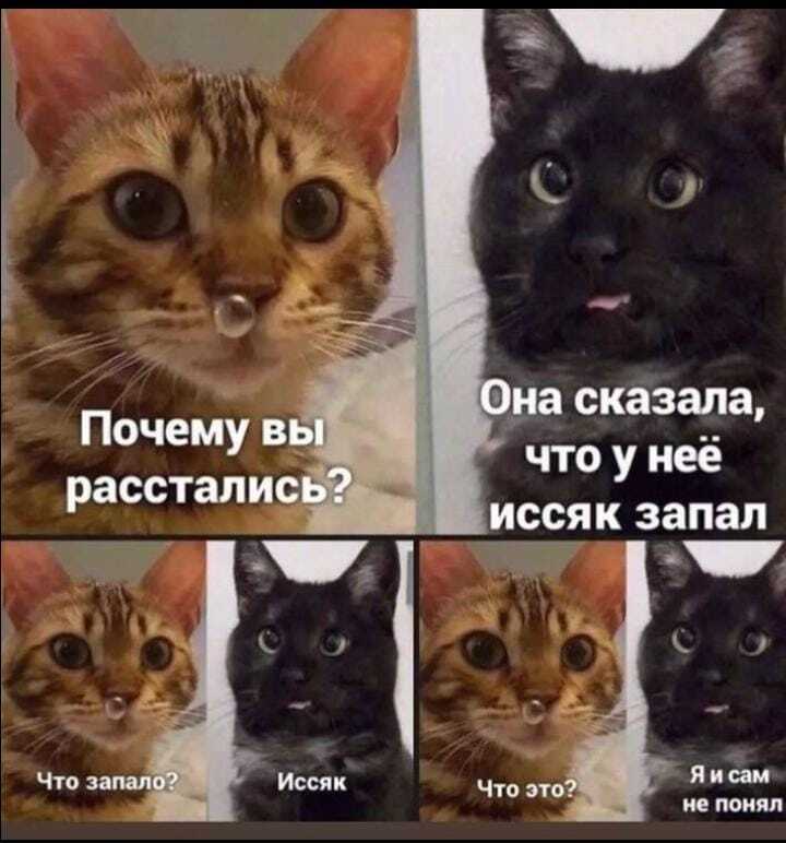 https://upforme.ru/uploads/001c/6b/0d/11/832861.jpg