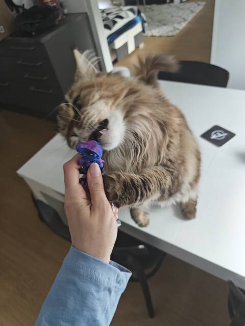 https://upforme.ru/uploads/001c/6b/0d/34/t680001.jpg