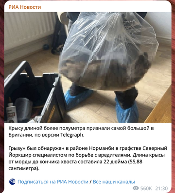 https://upforme.ru/uploads/001c/6b/0d/49/t247452.png