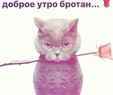 https://upforme.ru/uploads/001c/6b/a8/2/t25914.png