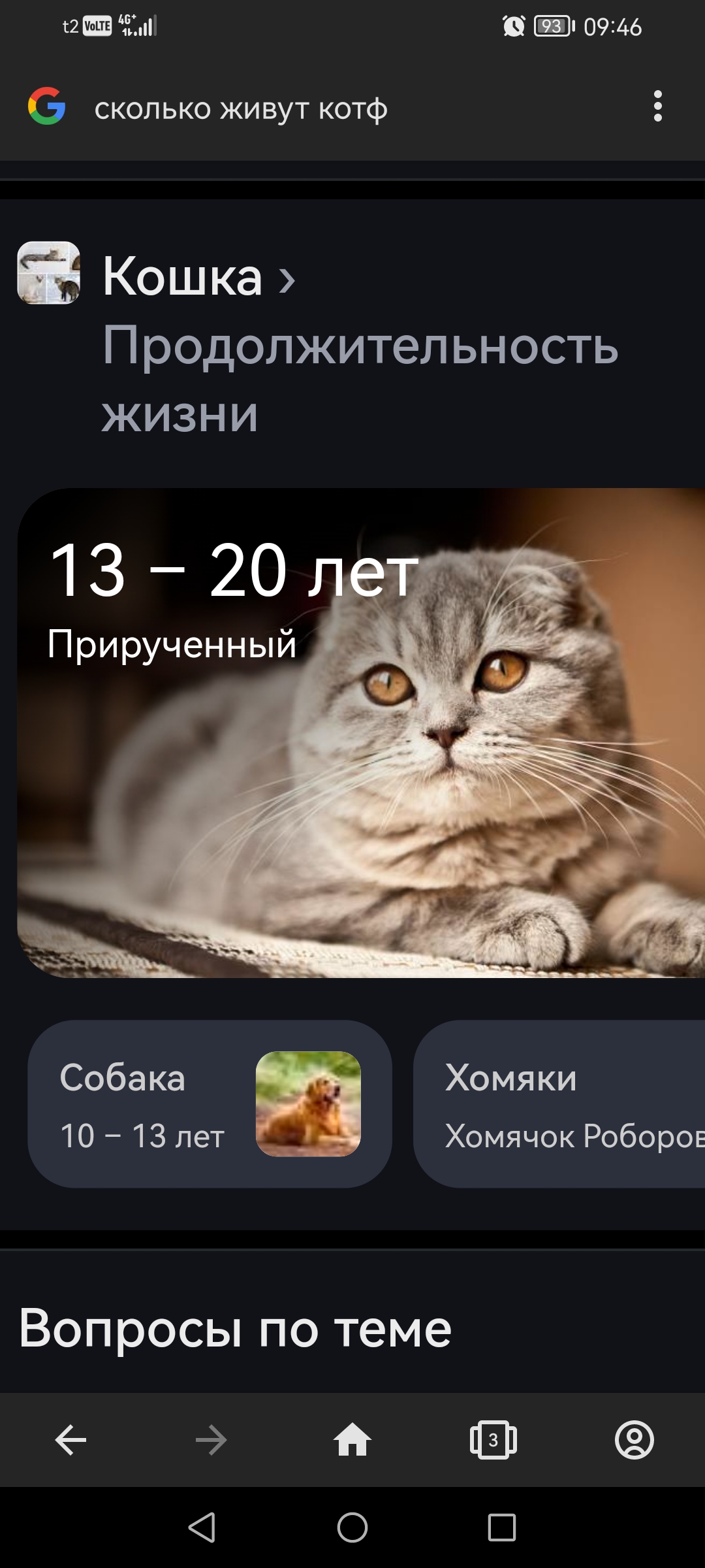 https://upforme.ru/uploads/001c/6e/1c/11/173499.jpg