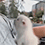 https://upforme.ru/uploads/001c/70/51/3/34442.gif