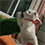 https://upforme.ru/uploads/001c/70/51/3/493178.gif