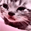 https://upforme.ru/uploads/001c/70/51/3/502103.gif