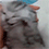 https://upforme.ru/uploads/001c/70/51/3/550747.gif