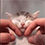 https://upforme.ru/uploads/001c/70/51/3/712797.gif