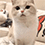 https://upforme.ru/uploads/001c/70/51/3/714563.gif
