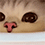 https://upforme.ru/uploads/001c/70/51/3/788205.gif