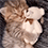 https://upforme.ru/uploads/001c/70/51/3/805412.gif