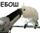 https://upforme.ru/uploads/001c/73/7e/2/t432142.png
