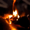 https://upforme.ru/uploads/001c/74/2d/100/693334.gif