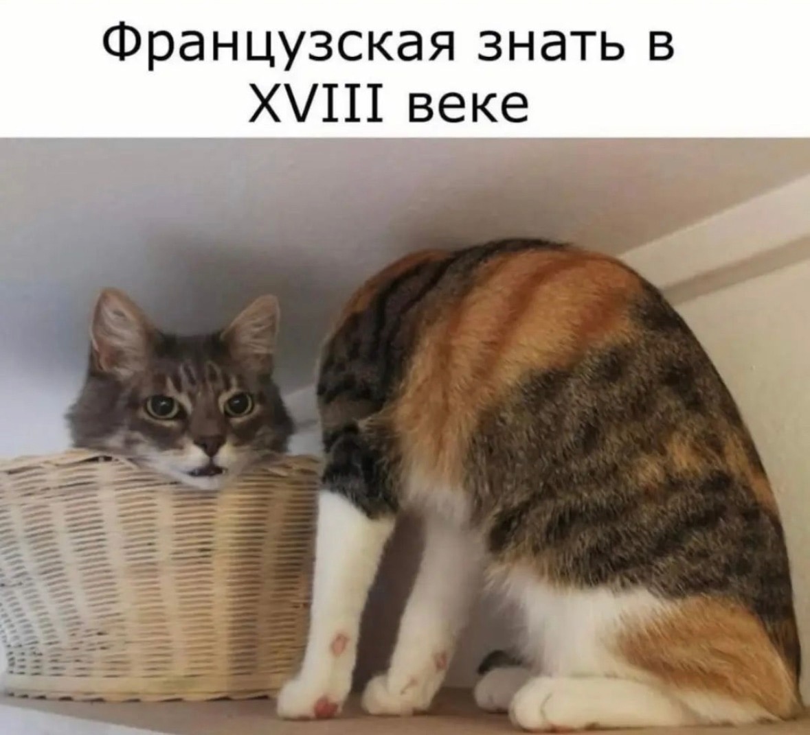 https://upforme.ru/uploads/001c/75/24/4/874173.jpg