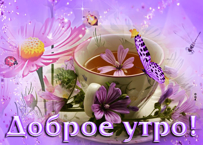 https://upforme.ru/uploads/001c/76/31/3/10822.gif