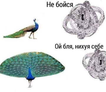 https://upforme.ru/uploads/001c/79/c1/2/t66127.jpg