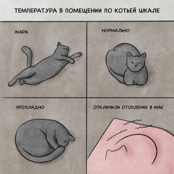 https://upforme.ru/uploads/001c/79/ca/14/t962988.jpg
