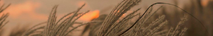 https://upforme.ru/uploads/001c/7a/01/2/437264.png