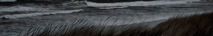 https://upforme.ru/uploads/001c/7a/01/2/763116.png
