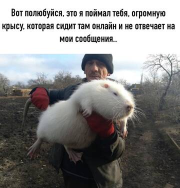 https://upforme.ru/uploads/001c/7a/06/15/t412227.jpg