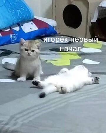 https://upforme.ru/uploads/001c/7a/06/15/t473934.jpg