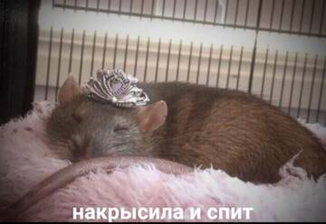 https://upforme.ru/uploads/001c/7a/06/15/t605213.jpg