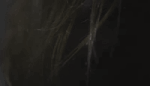 https://upforme.ru/uploads/001c/7c/51/15/386965.gif