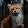 https://upforme.ru/uploads/001c/7c/51/222/560774.gif
