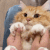 https://upforme.ru/uploads/001c/7d/92/6/194578.gif