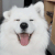 https://upforme.ru/uploads/001c/7d/92/6/201211.gif