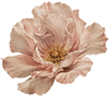 https://upforme.ru/uploads/001c/7d/92/67/238028.png