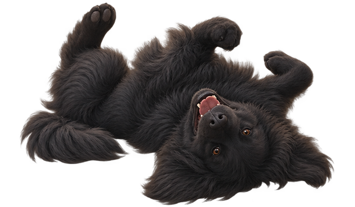 https://upforme.ru/uploads/001c/7d/92/67/720882.png
