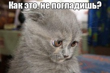 https://upforme.ru/uploads/001c/7d/d4/34/t695416.jpg