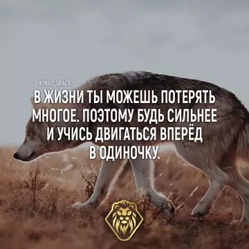 https://upforme.ru/uploads/001c/7f/37/23/t717074.webp