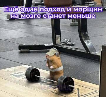 https://upforme.ru/uploads/001c/80/78/4/t785061.jpg